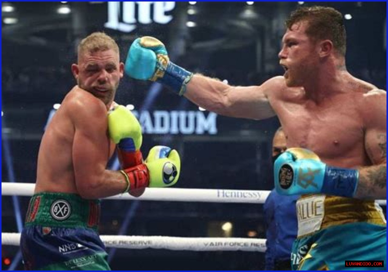 Canelo Alvarez Career Earnings (purse, payouts) + Net Worth