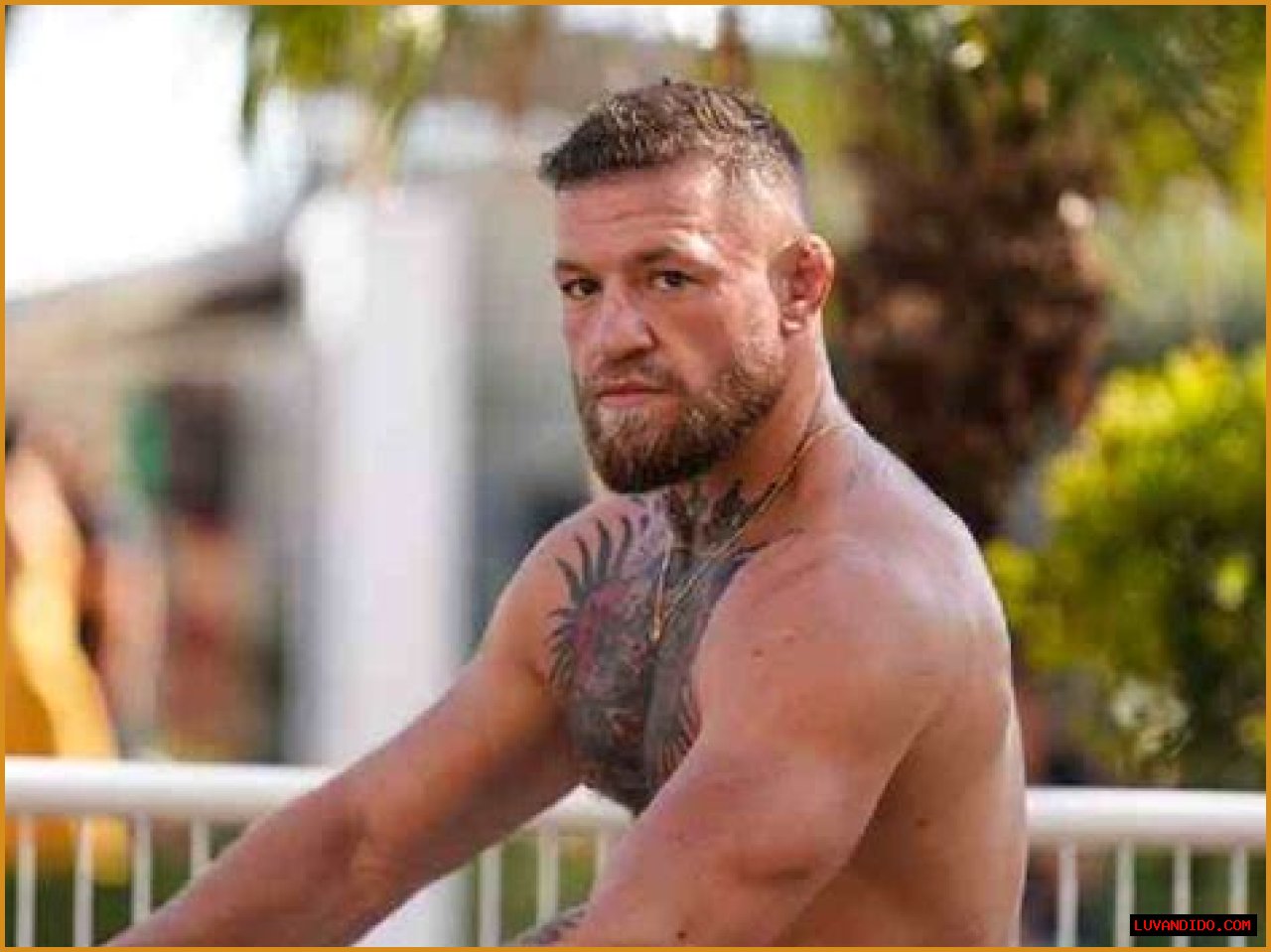 Conor McGregor Net worth 2023, UFC Salary, Endorsements, Houses, Cars Collection, Charity work, Etc.