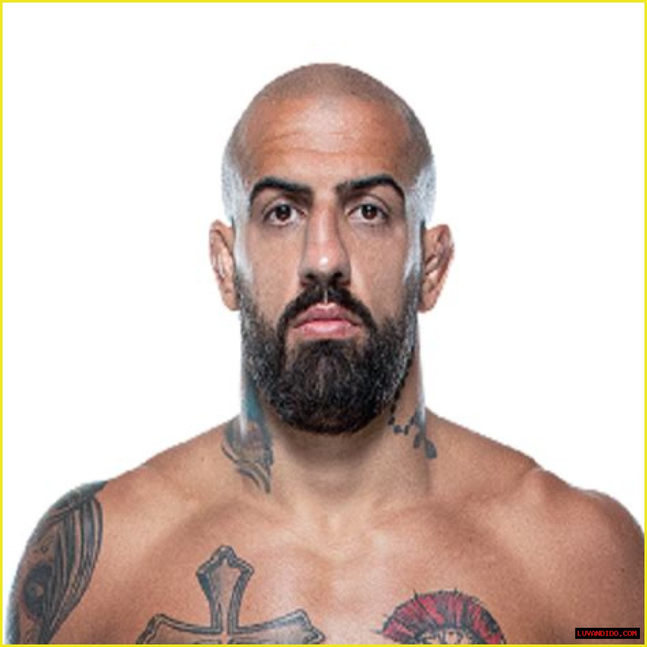 Danilo Marques UFC Career Fights and Salary (Age, Family, Wife, Married, Children, Stats)