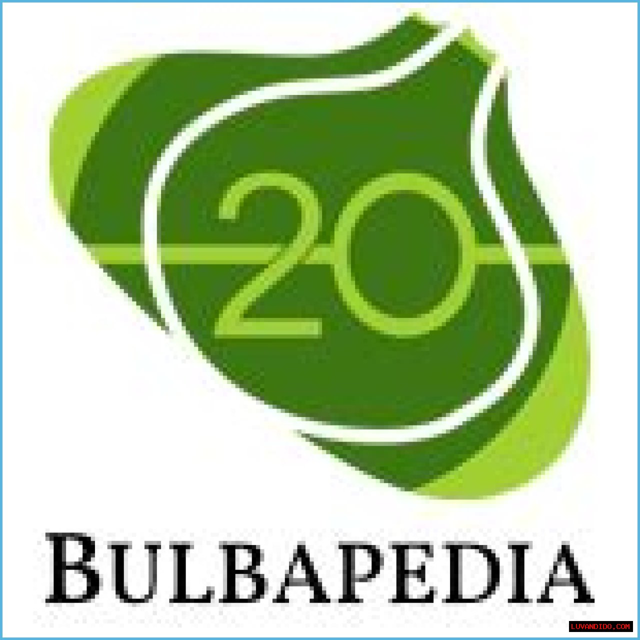 Fighting (type) - Bulbapedia, the community-driven Pokémon encyclopedia
