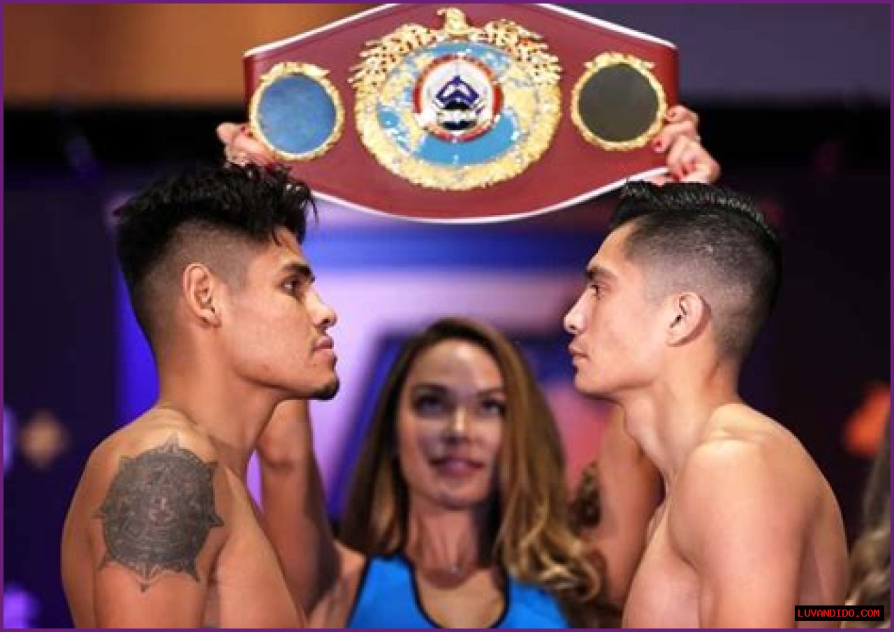 Official: Emanuel Navarrete vs Joet Gonzalez Purse, Payouts, Salaries – How Much Will The Fighters Make?