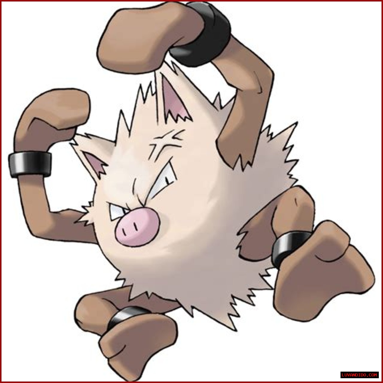 Primeape (Pokémon) - Bulbapedia, the community-driven Pokémon encyclopedia