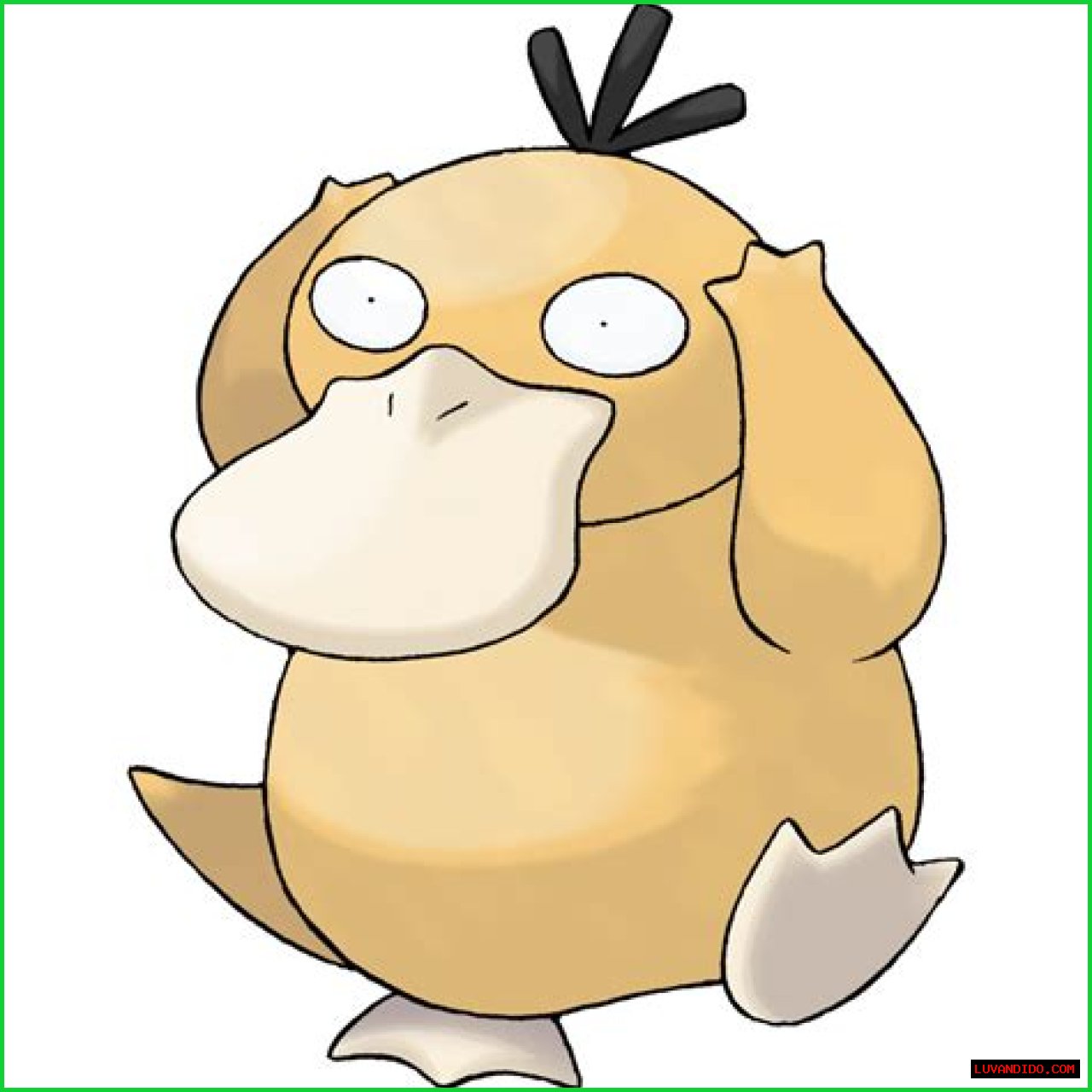 Psyduck (Pokémon) - Bulbapedia, the community-driven Pokémon encyclopedia