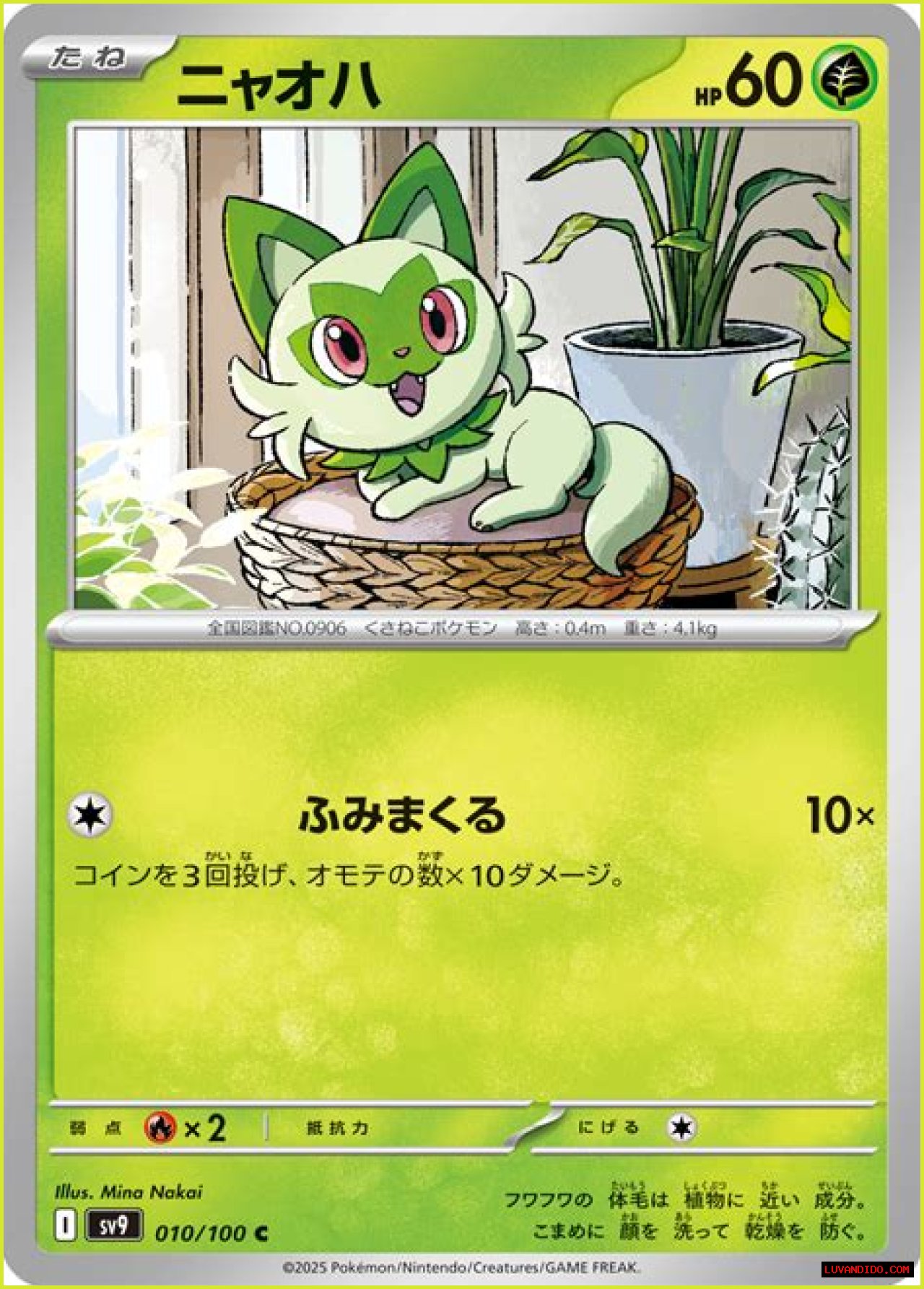 Sprigatito (Pokémon) - Bulbapedia, the community-driven Pokémon encyclopedia