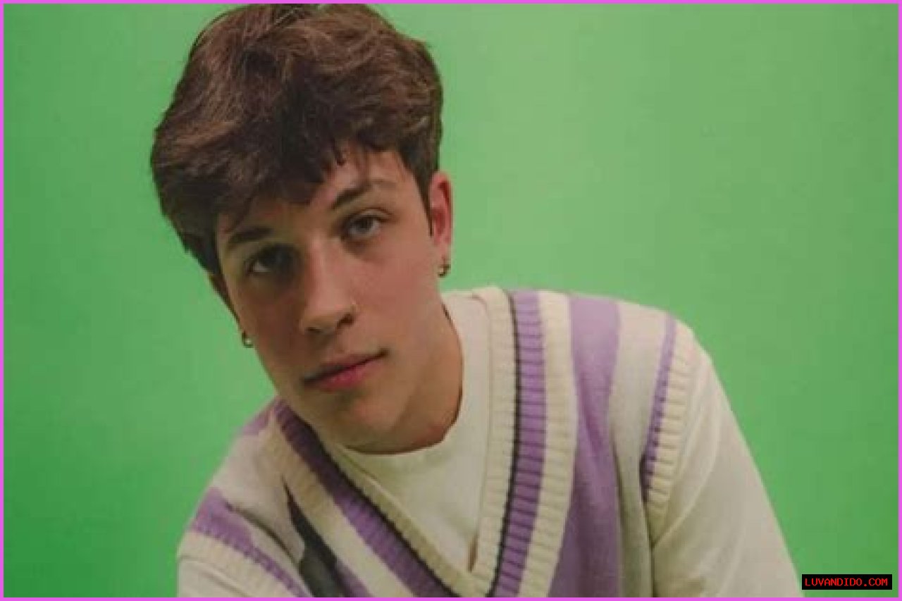 The details on Nick Sturniolo's age, net worth, girlfriend, family, siblings, and biography are as follows: Nick Sturniolo age, net worth, girlfriend, family, siblings, and biography
